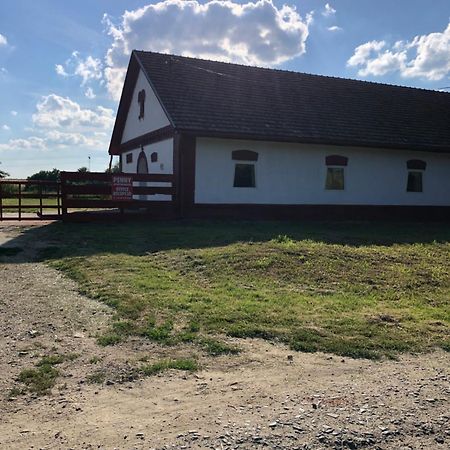Penni Panzio Kaposvar- Repaspuszta Exterior foto